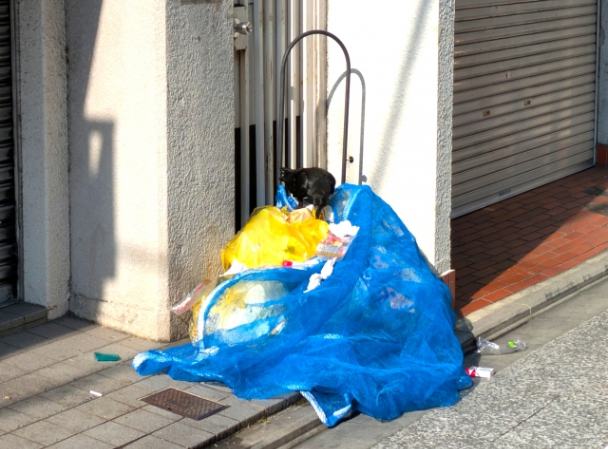 近隣トラブル・嫌がらせでよくある「ごみ問題」